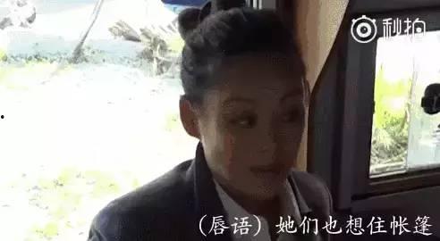 吃瓜娱乐圈虚假爱情,揭秘娱乐圈虚假爱情的背后真相