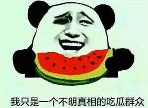 娱乐吃瓜名字大全,揭秘那些令人捧腹的“吃瓜”名字背后的故事