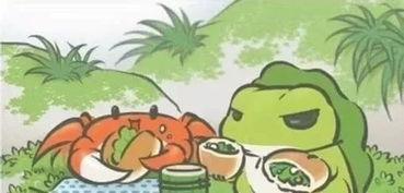 娱乐可爱蛙吃瓜