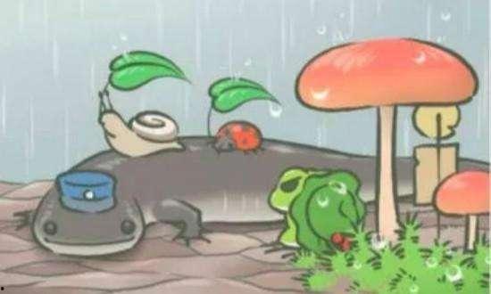 娱乐可爱蛙吃瓜