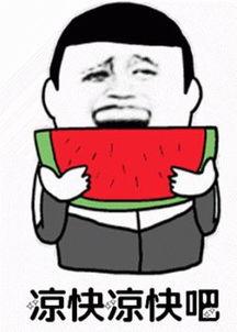娱乐吃瓜君励志,从吃瓜达人到励志偶像的蜕变之路